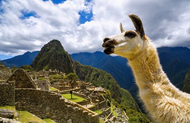 Machu Picchu Full Day with lunch by Aludi Travel