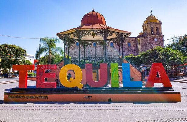 full day Tequila tour visiting artisanal distillery and downtown.