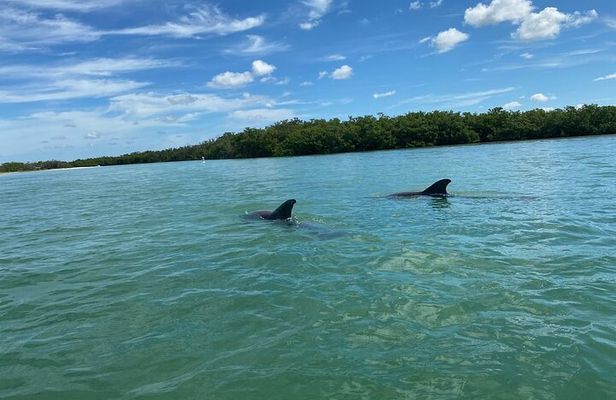 Private Guided Kayak Tour on Big Hickory Pass