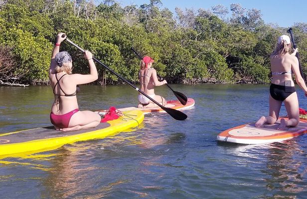 Stand Up Paddleboard Rental on Big Hickory Pass