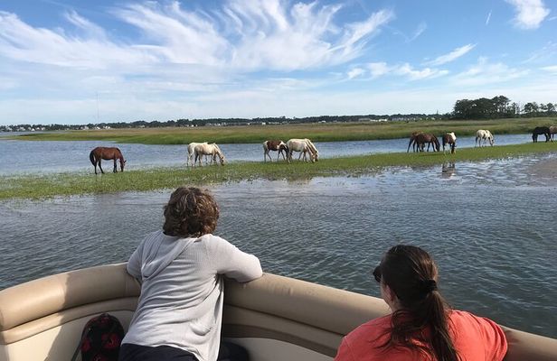 Grand Boat Tour around Chincoteague and Assateague Islands