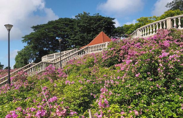 Mount Faber, Henderson Waves and Southern Ridges Tour