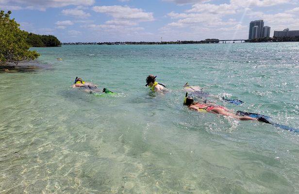 Beginner Friendly Island Snorkeling