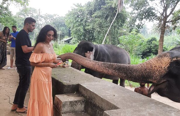 Guided round tour in srilanka