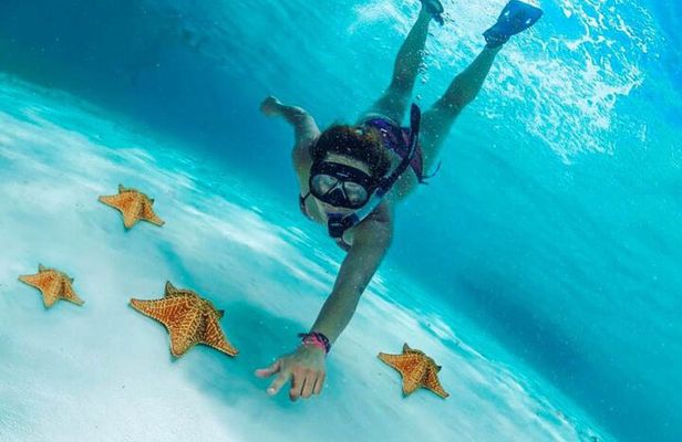 Cozumel Cielo Snorkel Adventure from Cancun and Rivera Maya