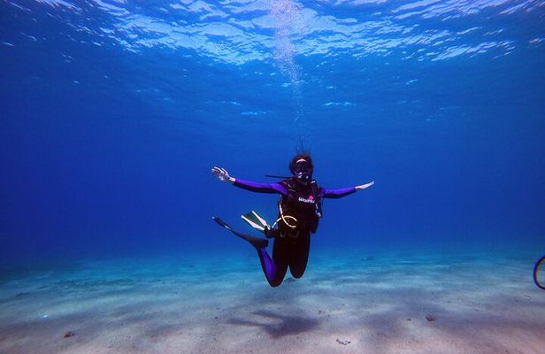 3-Day Open Water Scuba Diving Course in Aqaba