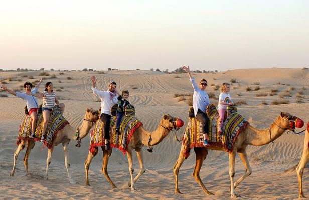 Evening Camel Caravan, Bedouin Dinner with Al Marmoom Oasis