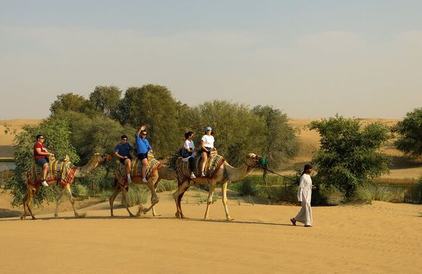 Dubai: Camel Caravan, Bedouin Breakfast with Al Marmoom Oasis 