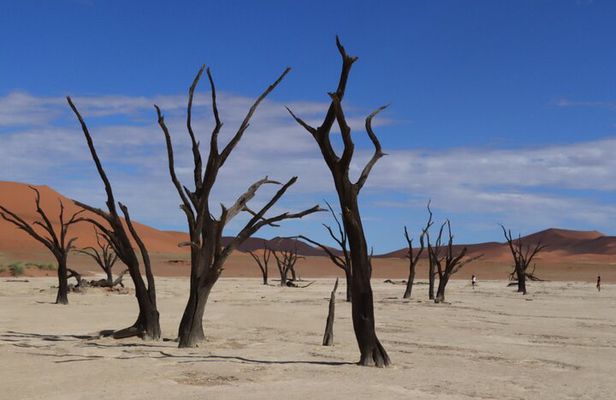 3-Day Sossusvlei & Deadvlei Shared Desert Tour from Windhoek