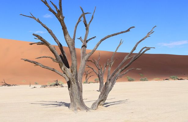 5-Day Sossusvlei & Sandwich Harbour Photography Tour