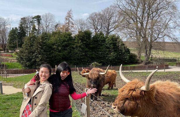 Speyside Whisky Tour