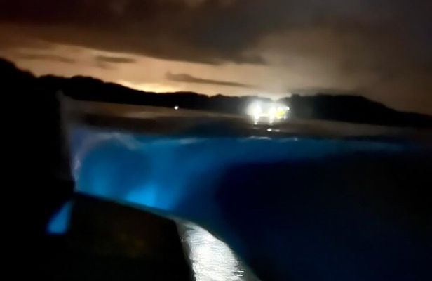 Bioluminescence Tour by Boat