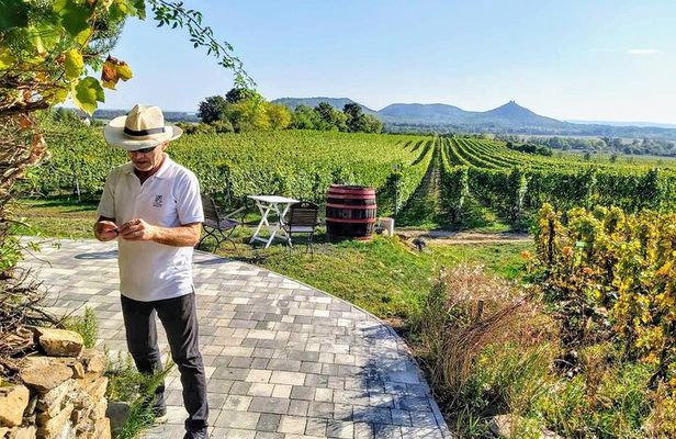 Lake Balaton private wine tasting and sightseeing from Budapest