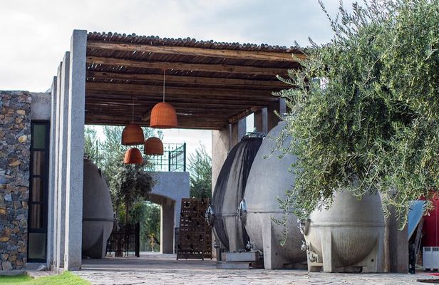 Visit Bodega El Enemigo and Gourmet Lunch at Bodega López