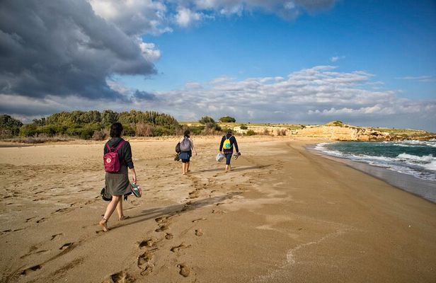 From Syracuse: Vendicari natural reserve