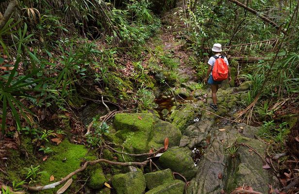 Khao Sok Rainforest | Hiking & Bamboo Rafting