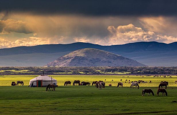 7-Days Central Mongolia Tour and Ancient city in Kharkhorin