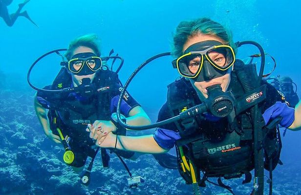 Scuba Diving Adventure in Dubai