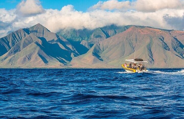 Lanai Deluxe Dolphin Adventure & 3 Snorkel Sites