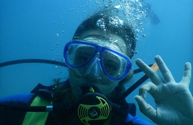 SSI Open Water Diver Course
