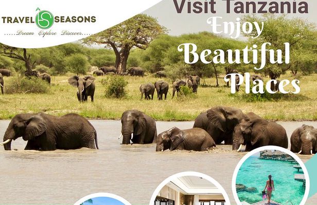 Tarangire National Park and Ngorongoro Crater 2-Day Private Tour