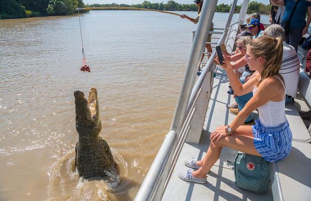 1 Hour Jumping Crocodile Cruise on the Adelaide River