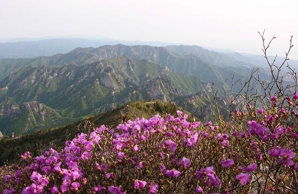 2 days Private Tour : Mt Seorak & Naksansa Temple & Nami Island 'from Seoul'
