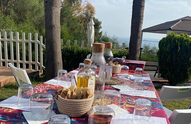 Artisan Spanish Wine Tasting of 6 Wines