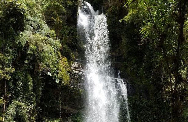 Full-Day Private Tour to La Chorrera Waterfall and El Chiflón