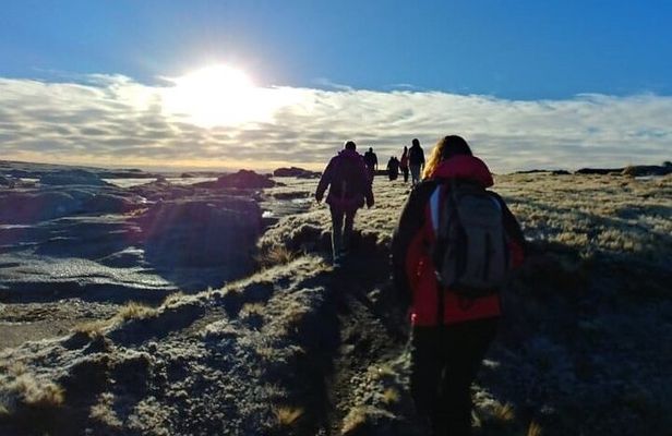 5.5-Hour National park w/ hiking Shore excursion - USHUAIA (Private Tour)