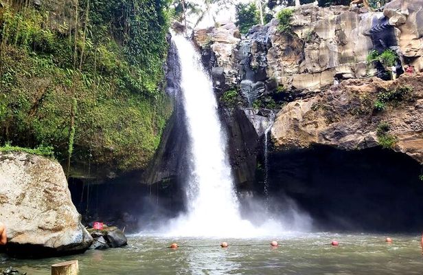 Ubud Private Tour - All Inclusive