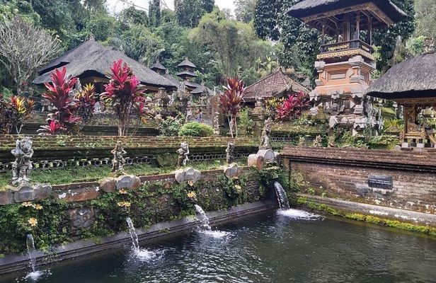 Ubud Private Tour : Waterfall, Temple, Rice terrace and Swing