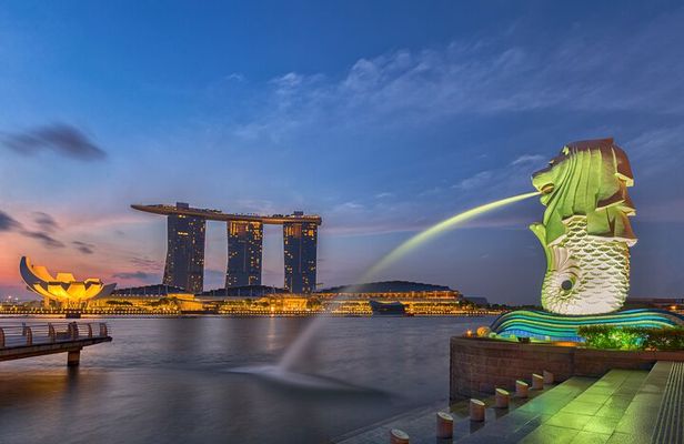 Private Singapore Customized Tour With Driver in small group
