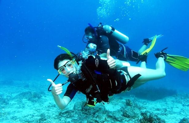 Kusadasi Scuba Diving