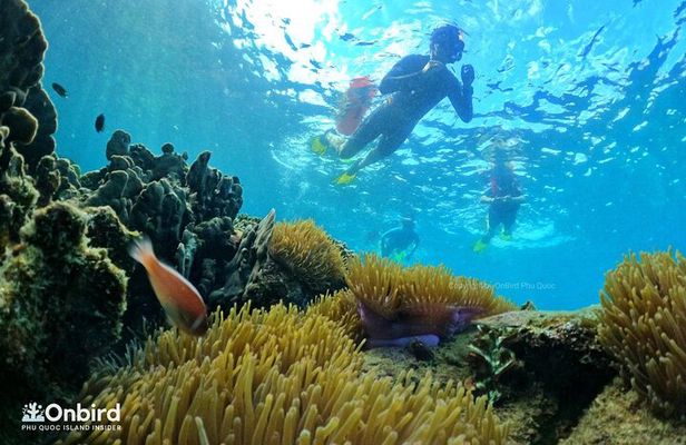 [Phu Quoc] Private Speedboat & Short-Snorkel: South Hidden Reefs
