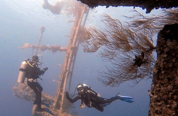 Guided Scuba Diving Adventure in Aqaba