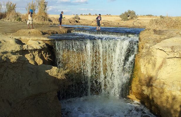 El-Fayoum Oasis & Wadi Al-Rayan Day Tour from Cairo