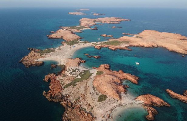 Daymaniyat Islands Snorkeling Sharing Trip 