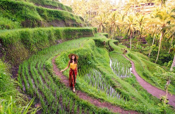 Best of Ubud Private Day Tour
