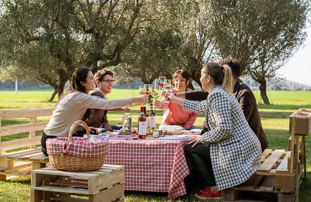 2-Hour Picnic among the Olive Trees with Typical Abruzzese Products