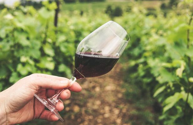 Wineries Tour Sao Paulo