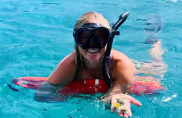 Half Day Luxury Catamaran Turtle Snorkel And Beach
