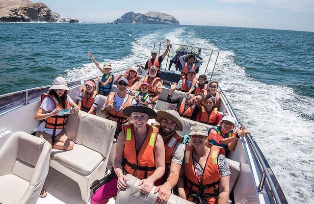 Visit the Sea Lions in Palomino Islands, in Lima Peru