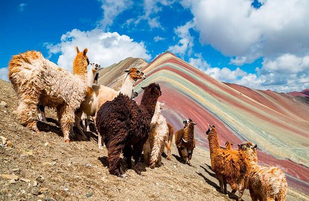 Rainbow Mountain in One Day from Cusco 2023 (Private Service)