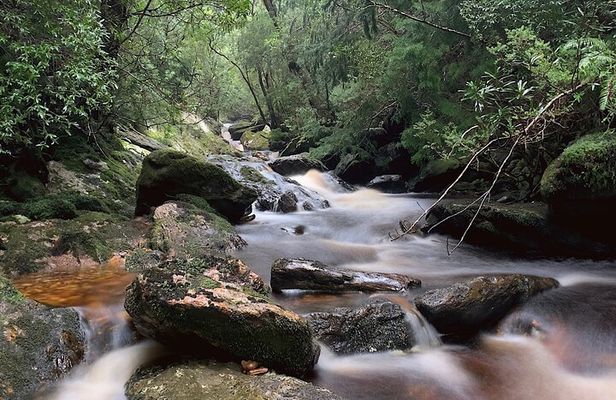 4-Day Private Tasmania Wilderness and Whiskey walks.