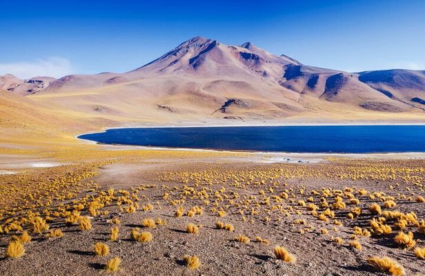Altiplanic Lagoons and Piedras Rojas