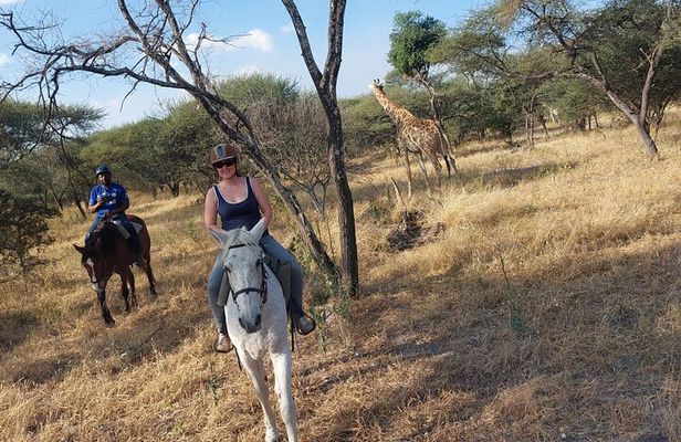 Maun Horse Riding Safari in Private Game Lodge
