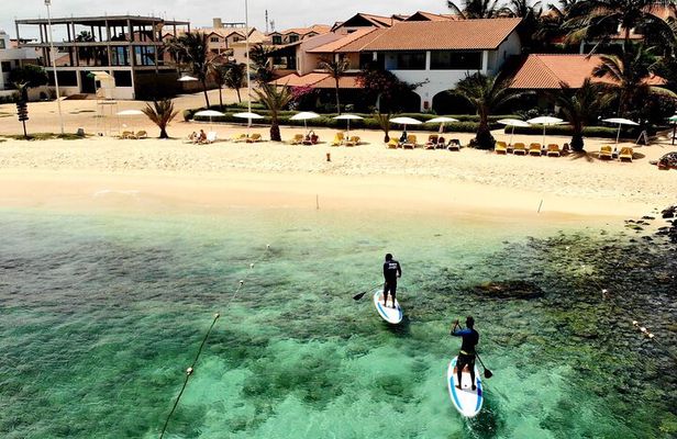 Stand Up Paddle Tour in Santa Maria Bay