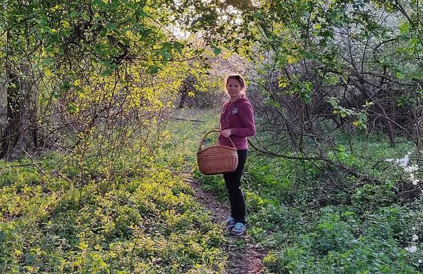 Herbal and Wild food walking tour in Warsaw area