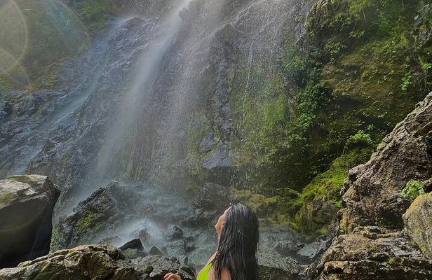 Rainforest Hike to Hidden Waterfall in Puerto Rico with Transport